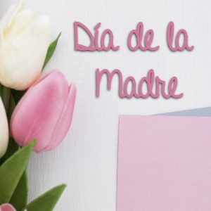Dia de la madre