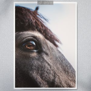 Revelado fotografías 20x30