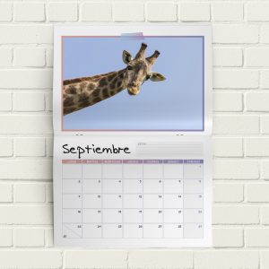 CALENDARIO REVISTA PERSONALIZADO