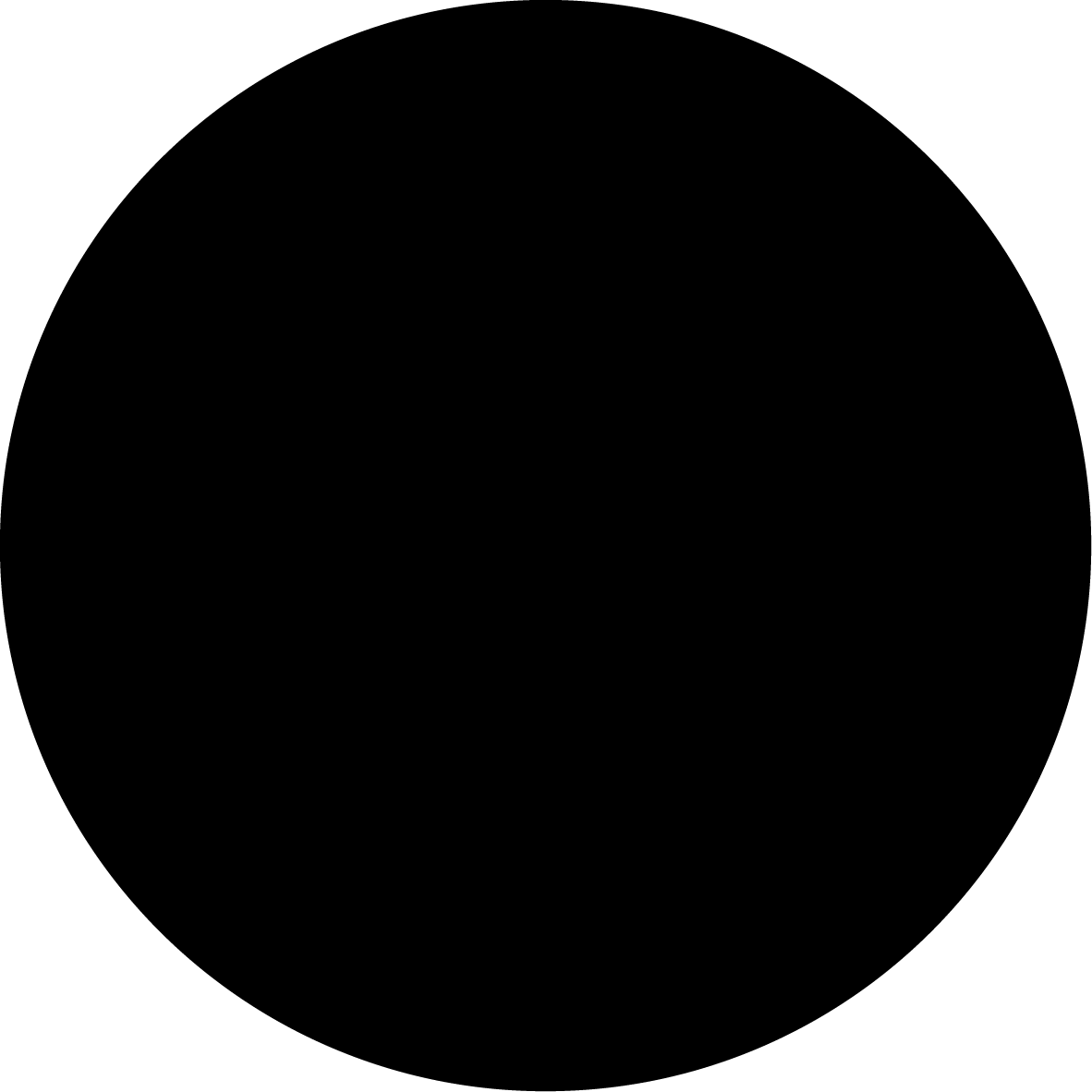 Negro (sólo camiseta blanca)