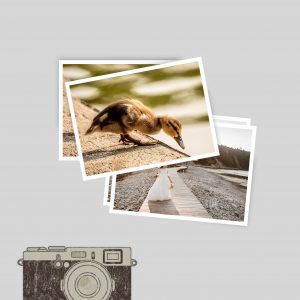 REVELADO RETRO 13X18