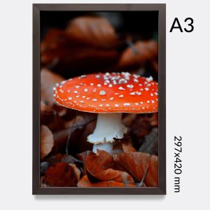 Imprimir fotografía A3