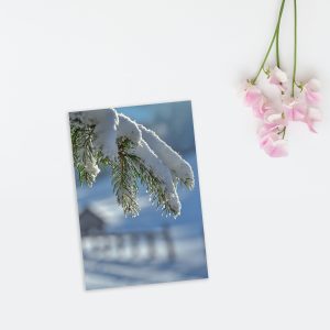 Revelado digital 4,25 x 6,8 cm